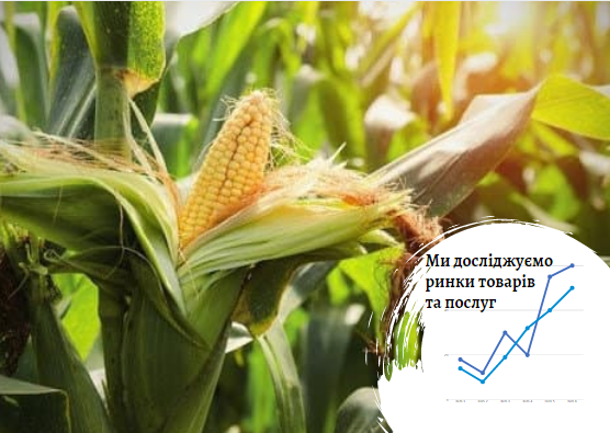 Ринок зерна замороженої солодкої кукурудзи в Україні: холодний привіт із спекотного літа